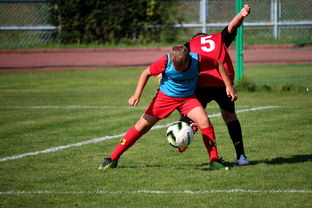 九游娱乐入口-中国足球俱乐部运营效率调查，中国足球俱乐部运营效率调查问卷