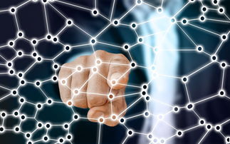 九游体育官网-中国足球前锋类型结构性调整报告,中国足球队前锋有哪些